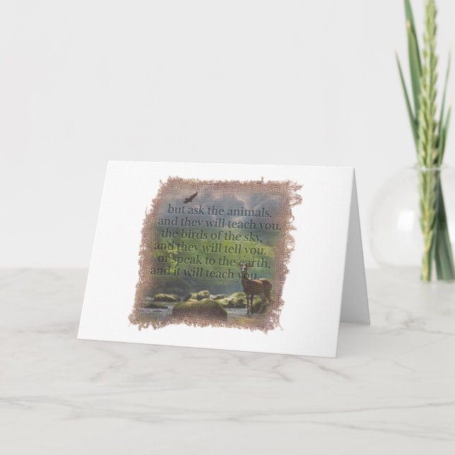 Tarjeta De Agradecimiento JOB 12:7 - Greeting Card (Anverso)