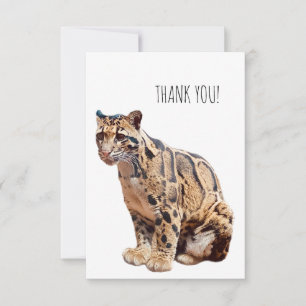 Tarjeta De Agradecimiento jungla de fotografía de leopardo nublado animal ga