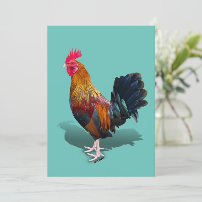 Tarjeta De Agradecimiento Key West - Gypsy Rooster (Anverso de pie)