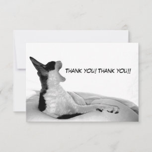 Tarjeta De Agradecimiento Kitsa Diva: Reina de su dominio