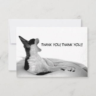 Tarjeta De Agradecimiento Kitsa Diva: Reina de su dominio