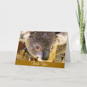 Tarjeta De Agradecimiento Koala Love_