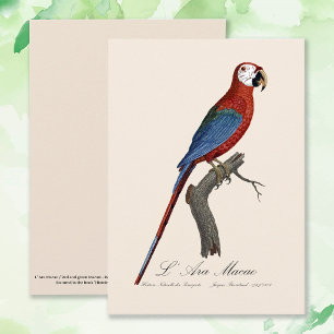 Tarjeta De Agradecimiento L' Ara Macao / Macao rojo y verde