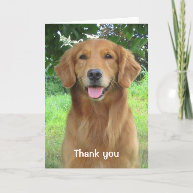 Tarjeta De Agradecimiento La belleza del golden retriever le agradece (Anverso)