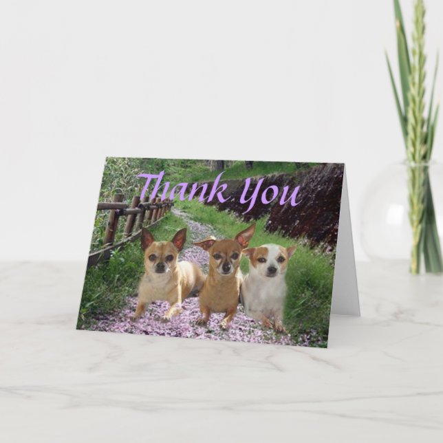Tarjeta De Agradecimiento La chihuahua le agradece cardar (Anverso)