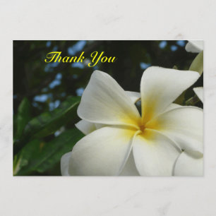 Tarjeta De Agradecimiento La condolencia de la flor del Frangipani del