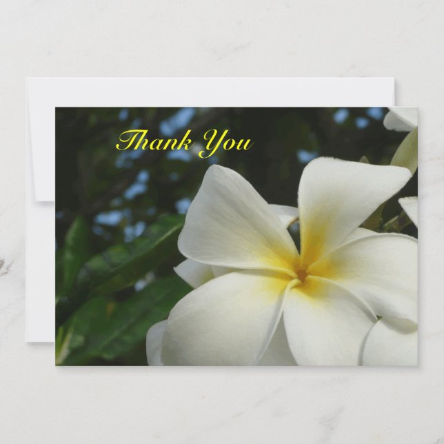 Tarjeta De Agradecimiento La condolencia de la flor del Frangipani del (Anverso)