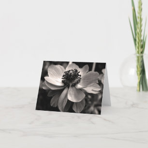 Tarjeta De Agradecimiento La condolencia floral de la foto de la anémona le