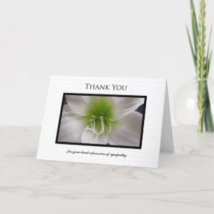 Tarjeta De Agradecimiento La condolencia le agradece cardar - el Amaryllis