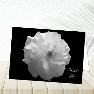Tarjeta De Agradecimiento La condolencia le agradece cardar -- Rosa blanco