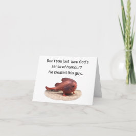 Tarjeta De Agradecimiento La Creación Caprichosa de Dios