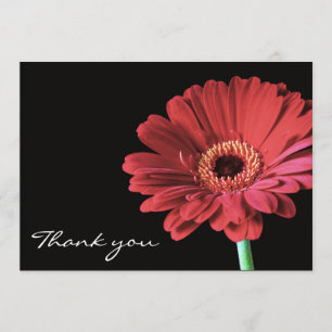 Tarjeta De Agradecimiento La flor roja del Gerbera le agradece cardar la