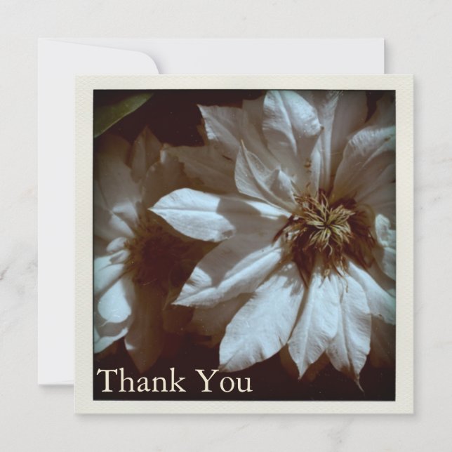 Tarjeta De Agradecimiento La fotografía floral del Clematis le agradece (Anverso)