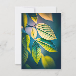 Tarjeta De Agradecimiento La Hoja Verde Tranquila Naturaleza Tranquila Tempo