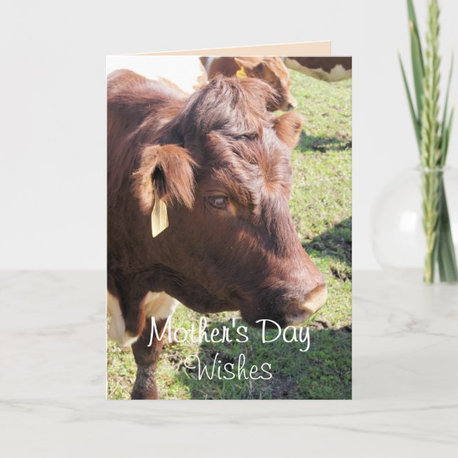 Tarjeta De Agradecimiento La madre de Pinzgauer 8374 Día-o hace cualquier (Anverso)