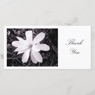 Tarjeta De Agradecimiento La magnolia blanca - gracias