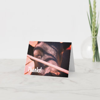 Tarjeta De Agradecimiento La naturaleza animal de la granja de toros somnoli