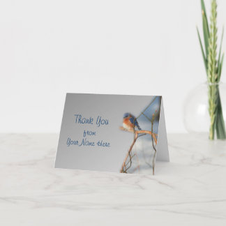 Tarjeta De Agradecimiento La naturaleza del pájaro del Bluebird del invierno