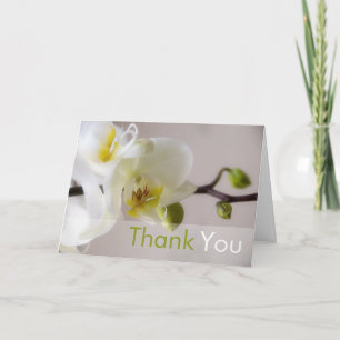 Tarjeta De Agradecimiento La orquídea blanca le agradece cardar