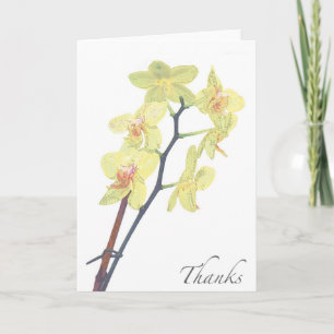 Tarjeta De Agradecimiento La orquídea de oro en blanco del tesoro le