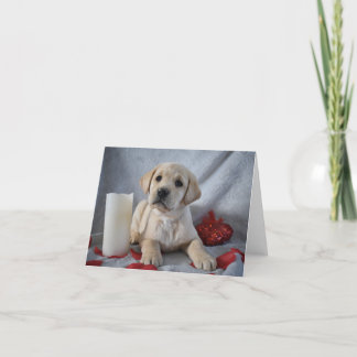 Tarjeta De Agradecimiento Labrador amarillo Día de San Valentín de pimienta