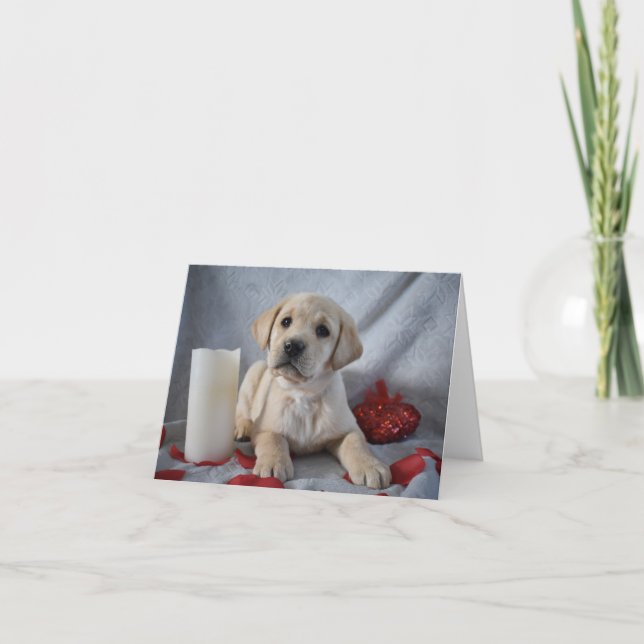 Tarjeta De Agradecimiento Labrador amarillo Día de San Valentín de pimienta (Anverso)