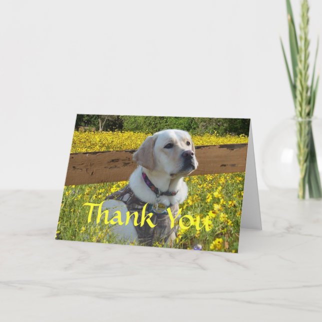 Tarjeta De Agradecimiento Labrador Retriever (Anverso)