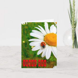 Tarjeta De Agradecimiento Ladybug & Daisies