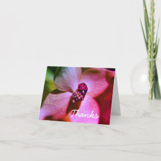 Tarjeta De Agradecimiento Ladybug En Flower Digital Art (Tarjeta de agradeci