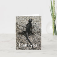 Lagarto Negro