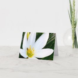 Tarjeta De Agradecimiento Lain Lily Bug Deux