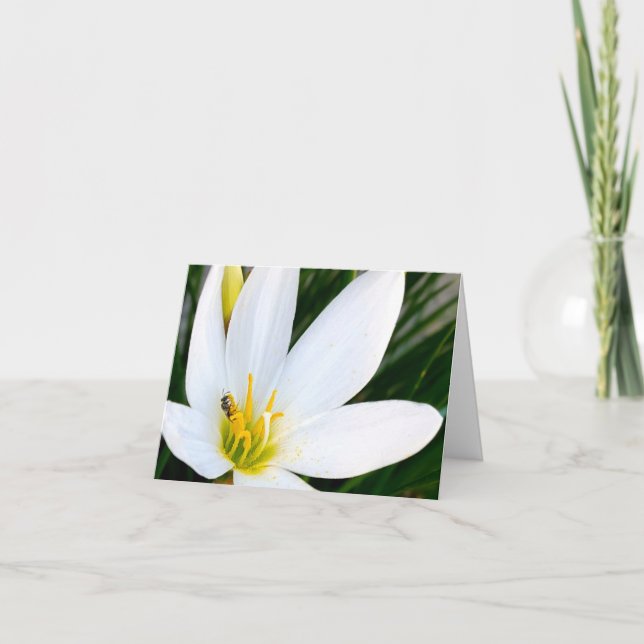 Tarjeta De Agradecimiento Lain Lily Bug Deux (Anverso)