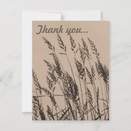 Tarjeta De Agradecimiento Larga hierba al anochecer