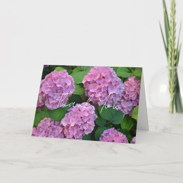 Tarjeta De Agradecimiento Las flores de hortensia hydrangea rosadas (Anverso)