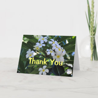 Tarjeta De Agradecimiento Las flores tropicales del Plumeria le agradecen