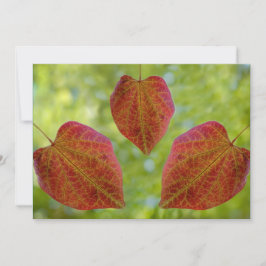 Tarjeta De Agradecimiento Las hojas de amor de la naturaleza