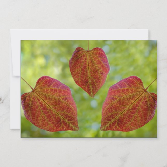 Tarjeta De Agradecimiento Las hojas de amor de la naturaleza (Anverso)