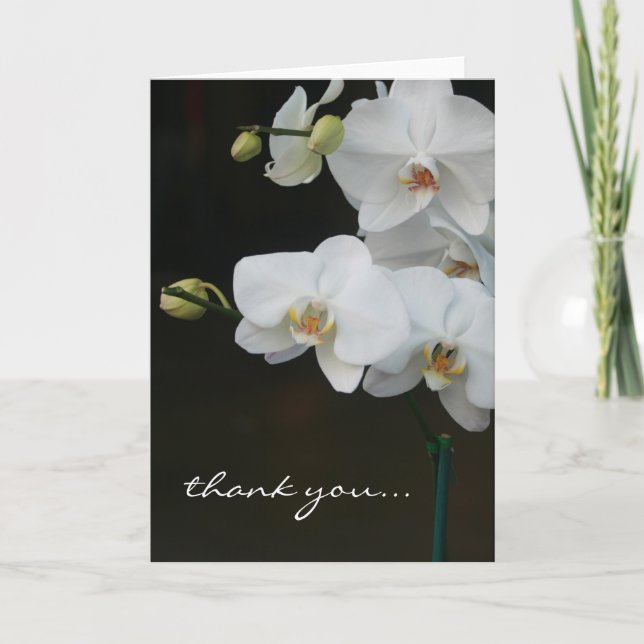 Tarjeta De Agradecimiento Las orquídeas blancas le agradecen (Anverso)
