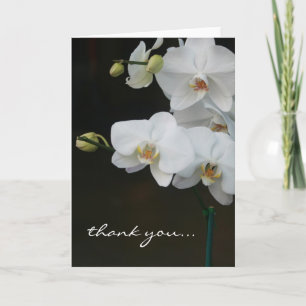 Tarjeta De Agradecimiento Las orquídeas blancas le agradecen