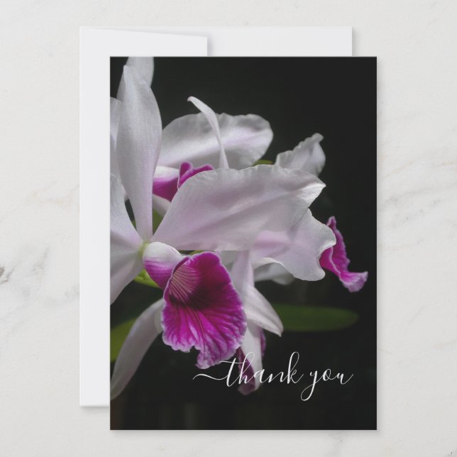 Tarjeta De Agradecimiento Las orquídeas laelia moradas (Anverso)