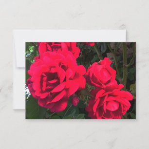 Tarjeta De Agradecimiento Las rosas rojas florecen