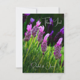 Tarjeta De Agradecimiento Lavanda, amor y devoción, Boda