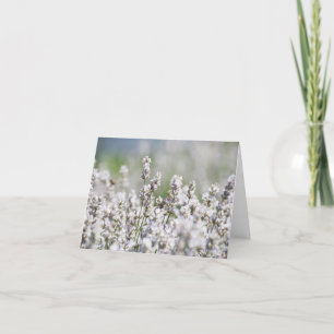 Tarjeta De Agradecimiento Lavanda purpúrea clara