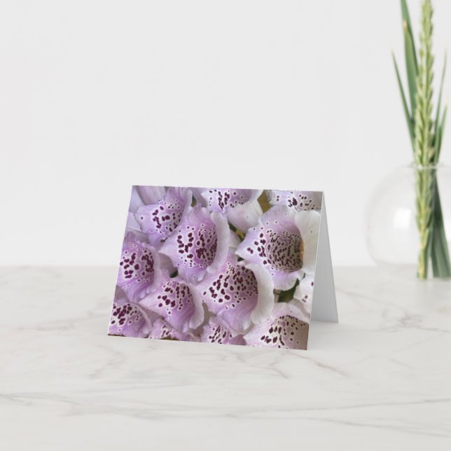 Tarjeta De Agradecimiento Lavender Foxglove (Anverso)