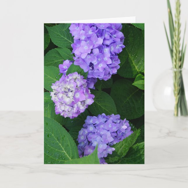 Tarjeta De Agradecimiento Lavender Hydrangea (Anverso)