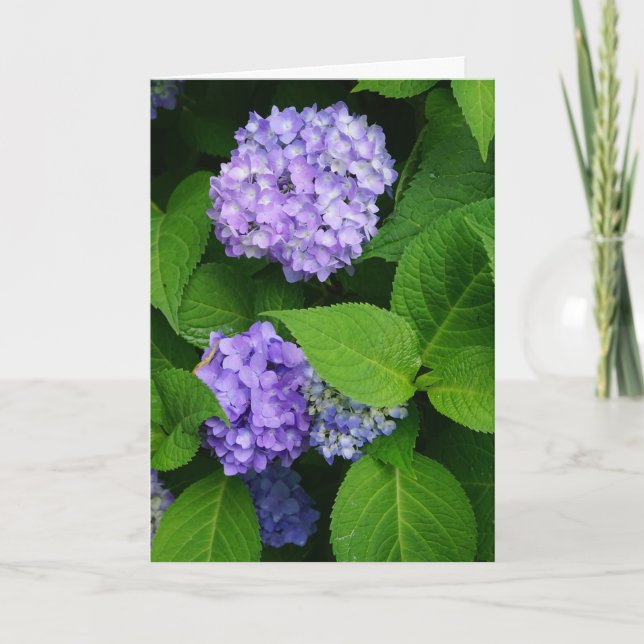 Tarjeta De Agradecimiento Lavender Hydrangea (Anverso)