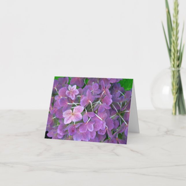 Tarjeta De Agradecimiento Lavender Hydrangeas (Anverso)