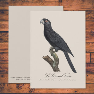 Tarjeta De Agradecimiento Le Grand Vaza / Greater Vasa Parrot