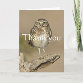 Tarjeta De Agradecimiento Lechuza en llamas en una costilla de cholla