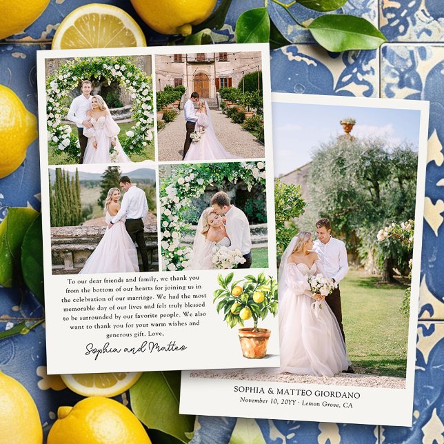Tarjeta De Agradecimiento Lemon Grove 5 Boda fotográfico (Wedding Photo Thank You Cards from the Lemon Grove Wedding Collection )